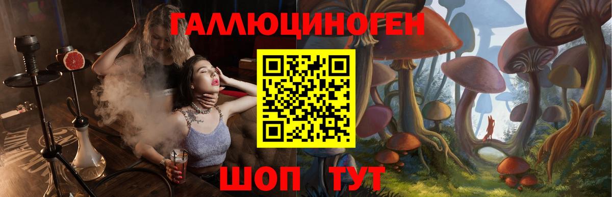 Ханты-Мансийск  Псилоцибиновые грибы MAGIC MUSHROOMS  Псилоцибиновые грибы Psilocybine cubensis  Вход с VPN 